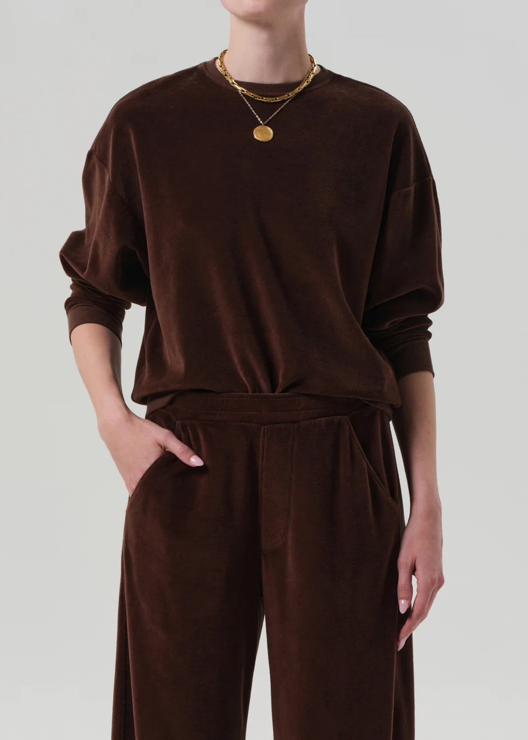 Citizens of Humanity Brown Velour Sweatshirt